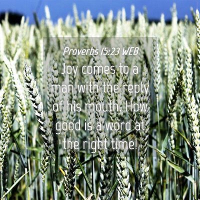 Picture 04 - Proverbs 15:23 WEB - Joy comes to a man with the reply of his mouth. - Bible Verse Picture