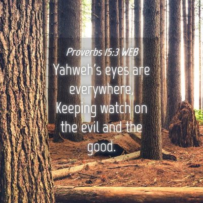 Picture 04 - Proverbs 15:3 WEB - Yahweh's eyes are everywhere, Keeping watch on - Bible Verse Picture