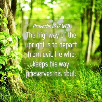 Picture 04 - Proverbs 16:17 WEB - The highway of the upright is to depart from - Bible Verse Picture