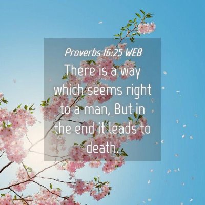 Picture 04 - Proverbs 16:25 WEB - There is a way which seems right to a man, But in - Bible Verse Picture