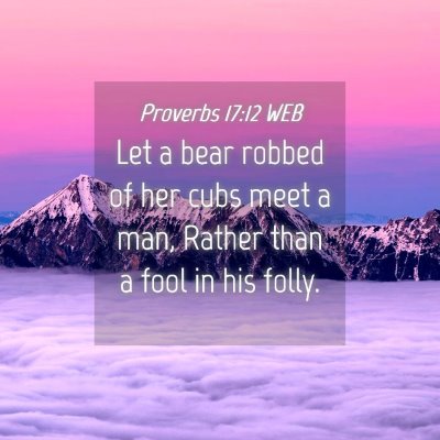 Picture 04 - Proverbs 17:12 WEB - Let a bear robbed of her cubs meet a man, Rather - Bible Verse Picture