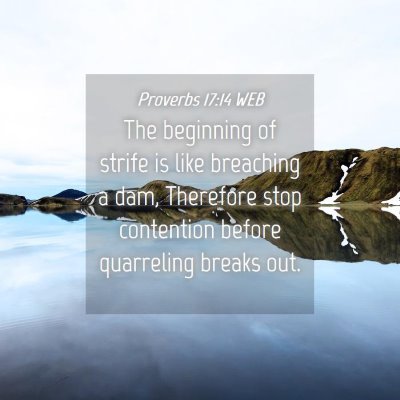Picture 04 - Proverbs 17:14 WEB - The beginning of strife is like breaching a dam, - Bible Verse Picture