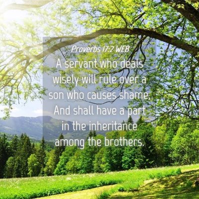 Picture 04 - Proverbs 17:2 WEB - A servant who deals wisely will rule over a son - Bible Verse Picture