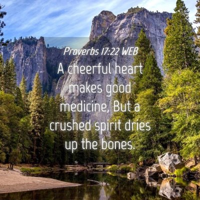 Picture 04 - Proverbs 17:22 WEB - A cheerful heart makes good medicine, But a - Bible Verse Picture