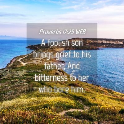 Picture 04 - Proverbs 17:25 WEB - A foolish son brings grief to his father, And - Bible Verse Picture