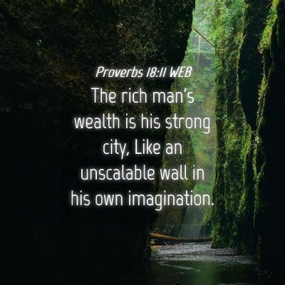 Picture 04 - Proverbs 18:11 WEB - The rich man's wealth is his strong city, Like an - Bible Verse Picture