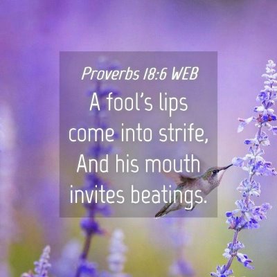 Picture 04 - Proverbs 18:6 WEB - A fool's lips come into strife, And his mouth - Bible Verse Picture