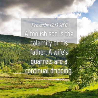 Picture 04 - Proverbs 19:13 WEB - A foolish son is the calamity of his father. A - Bible Verse Picture