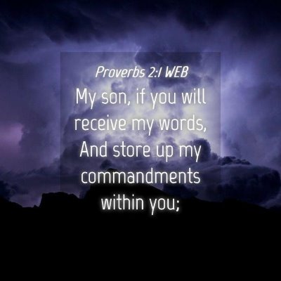 Picture 04 - Proverbs 2:1 WEB - My son, if you will receive my words, And store - Bible Verse Picture
