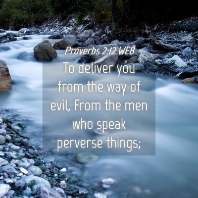 Picture 04 - Proverbs 2:12 WEB - To deliver you from the way of evil, From the men - Bible Verse Picture