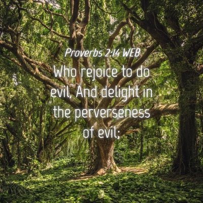 Picture 04 - Proverbs 2:14 WEB - Who rejoice to do evil, And delight in the - Bible Verse Picture