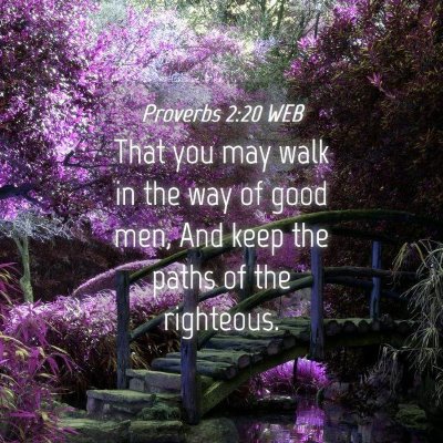 Picture 04 - Proverbs 2:20 WEB - That you may walk in the way of good men, And - Bible Verse Picture