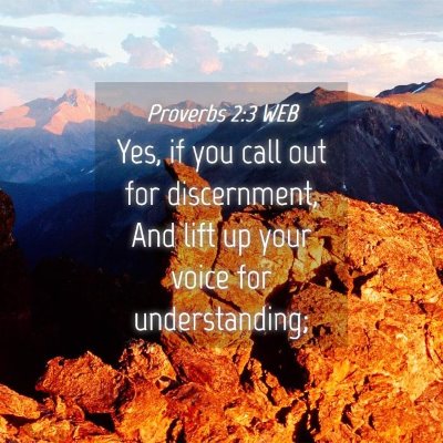 Picture 04 - Proverbs 2:3 WEB - Yes, if you call out for discernment, And lift up - Bible Verse Picture