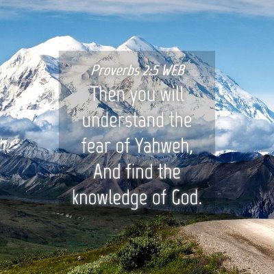 Picture 04 - Proverbs 2:5 WEB - Then you will understand the fear of Yahweh, And - Bible Verse Picture
