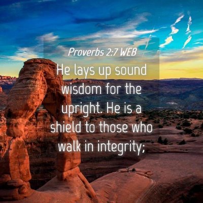 Picture 04 - Proverbs 2:7 WEB - He lays up sound wisdom for the upright. He is a - Bible Verse Picture