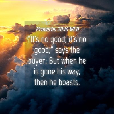 Picture 04 - Proverbs 20:14 WEB - 