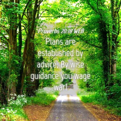 Picture 04 - Proverbs 20:18 WEB - Plans are established by advice; By wise guidance - Bible Verse Picture