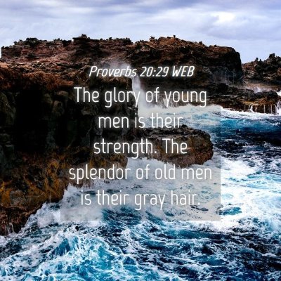Picture 04 - Proverbs 20:29 WEB - The glory of young men is their strength. The - Bible Verse Picture