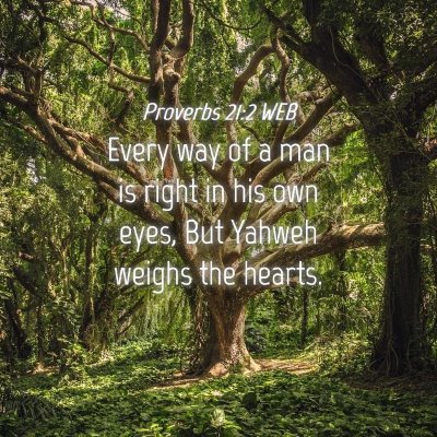 Picture 04 - Proverbs 21:2 WEB - Every way of a man is right in his own eyes, But - Bible Verse Picture
