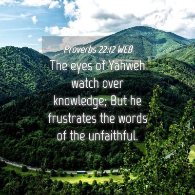 Picture 04 - Proverbs 22:12 WEB - The eyes of Yahweh watch over knowledge; But he - Bible Verse Picture