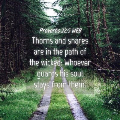 Picture 04 - Proverbs 22:5 WEB - Thorns and snares are in the path of the wicked: - Bible Verse Picture