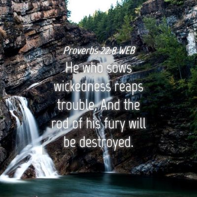 Picture 04 - Proverbs 22:8 WEB - He who sows wickedness reaps trouble, And the rod - Bible Verse Picture
