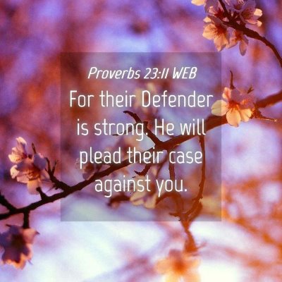 Picture 04 - Proverbs 23:11 WEB - For their Defender is strong. He will plead their - Bible Verse Picture
