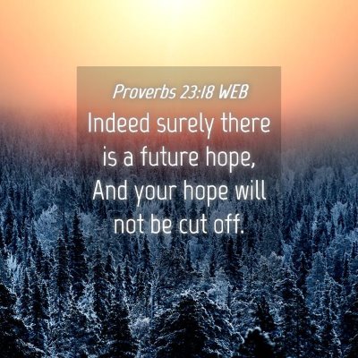 Picture 04 - Proverbs 23:18 WEB - Indeed surely there is a future hope, And your - Bible Verse Picture