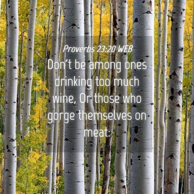 Picture 04 - Proverbs 23:20 WEB - Don't be among ones drinking too much wine, Or - Bible Verse Picture