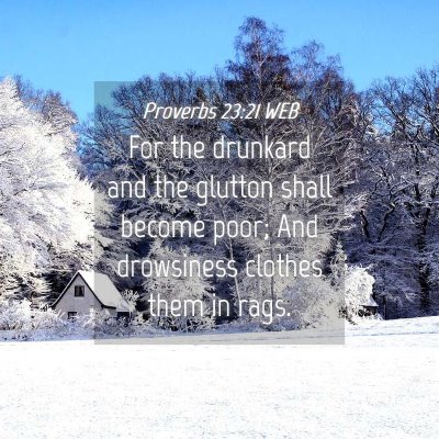 Picture 04 - Proverbs 23:21 WEB - For the drunkard and the glutton shall become - Bible Verse Picture