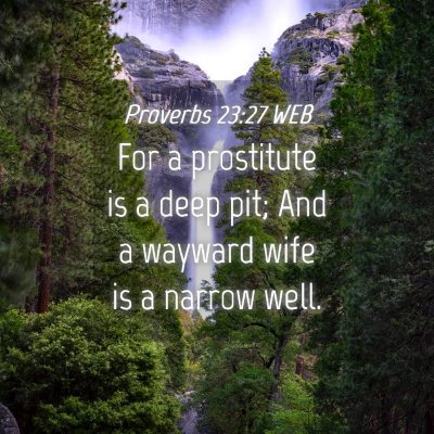 Picture 04 - Proverbs 23:27 WEB - For a prostitute is a deep pit; And a wayward - Bible Verse Picture