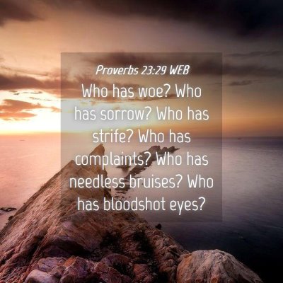 Picture 04 - Proverbs 23:29 WEB - Who has woe? Who has sorrow? Who has strife? Who - Bible Verse Picture