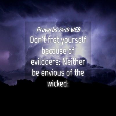 Picture 04 - Proverbs 24:19 WEB - Don't fret yourself because of evildoers; Neither - Bible Verse Picture