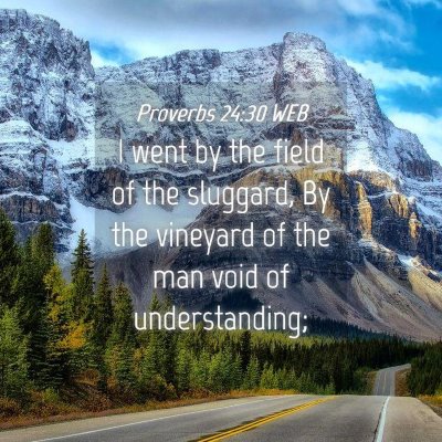 Picture 04 - Proverbs 24:30 WEB - I went by the field of the sluggard, By the - Bible Verse Picture