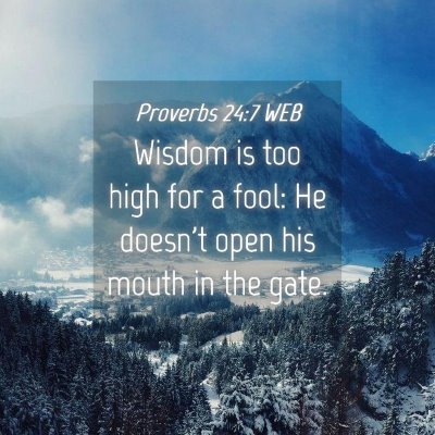 Picture 04 - Proverbs 24:7 WEB - Wisdom is too high for a fool: He doesn't open - Bible Verse Picture