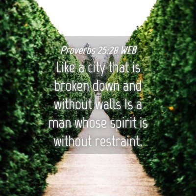 Picture 04 - Proverbs 25:28 WEB - Like a city that is broken down and without walls - Bible Verse Picture