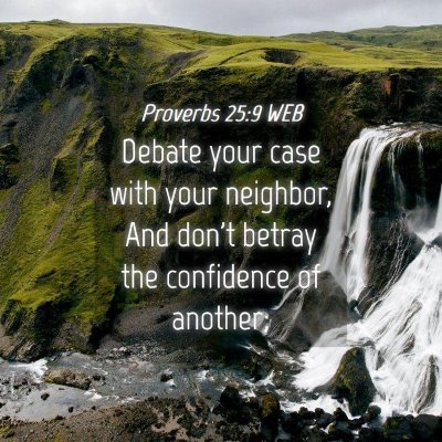 Picture 04 - Proverbs 25:9 WEB - Debate your case with your neighbor, And don't - Bible Verse Picture