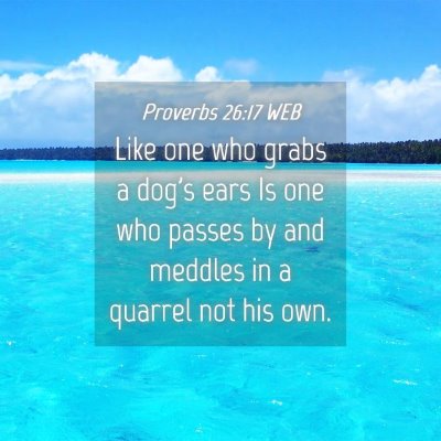 Picture 04 - Proverbs 26:17 WEB - Like one who grabs a dog's ears Is one who passes - Bible Verse Picture