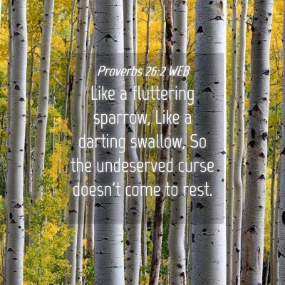 Picture 04 - Proverbs 26:2 WEB - Like a fluttering sparrow, Like a darting - Bible Verse Picture