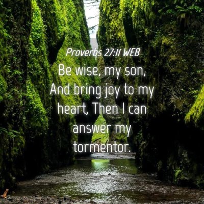 Picture 04 - Proverbs 27:11 WEB - Be wise, my son, And bring joy to my heart, Then - Bible Verse Picture