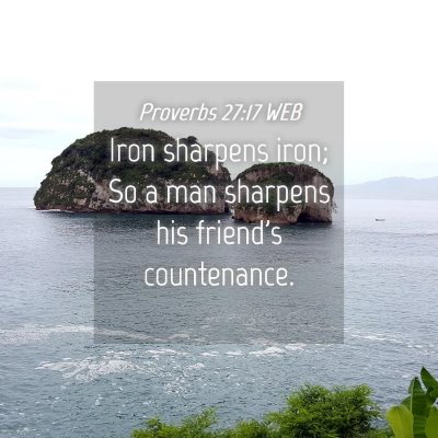 Picture 04 - Proverbs 27:17 WEB - Iron sharpens iron; So a man sharpens his - Bible Verse Picture