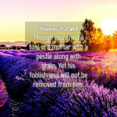 Picture 04 - Proverbs 27:22 WEB - Though you grind a fool in a mortar with a pestle - Bible Verse Picture