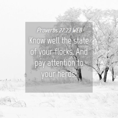 Picture 04 - Proverbs 27:23 WEB - Know well the state of your flocks, And pay - Bible Verse Picture