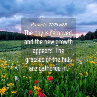 Picture 04 - Proverbs 27:25 WEB - The hay is removed, and the new growth appears, - Bible Verse Picture