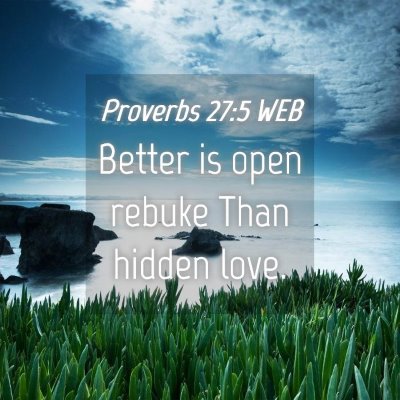 Picture 04 - Proverbs 27:5 WEB - Better is open rebuke Than hidden - Bible Verse Picture