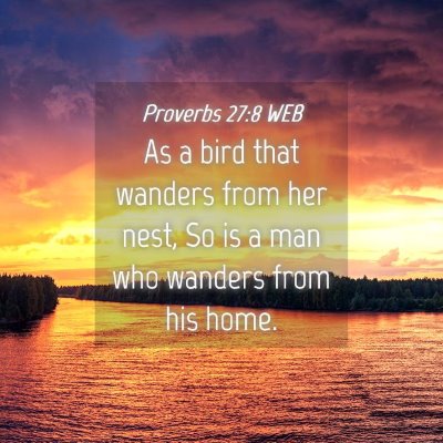 Picture 04 - Proverbs 27:8 WEB - As a bird that wanders from her nest, So is a man - Bible Verse Picture