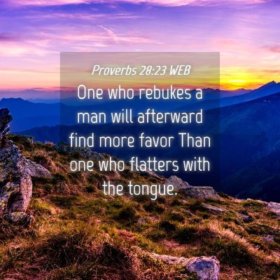 Picture 04 - Proverbs 28:23 WEB - One who rebukes a man will afterward find more - Bible Verse Picture