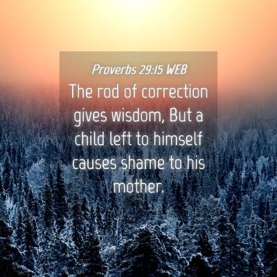 Picture 04 - Proverbs 29:15 WEB - The rod of correction gives wisdom, But a child - Bible Verse Picture
