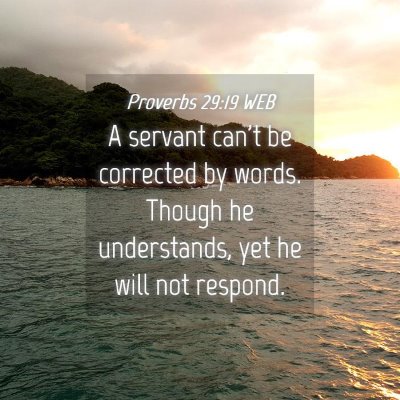 Picture 04 - Proverbs 29:19 WEB - A servant can't be corrected by words. Though he - Bible Verse Picture