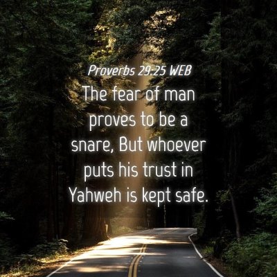 Picture 04 - Proverbs 29:25 WEB - The fear of man proves to be a snare, But whoever - Bible Verse Picture